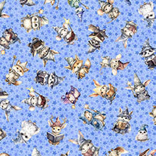 Load image into Gallery viewer, Lil' Wizards Wizard Toss 30551-B