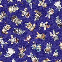 Load image into Gallery viewer, Lil' Wizards Wizard Toss 30551-V