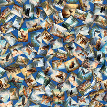 Load image into Gallery viewer, On the Road Again Animal Postcards 30739-B