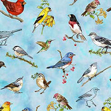 Load image into Gallery viewer, Drawn to Birds Tossed Birds 31135-B