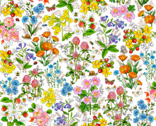 Load image into Gallery viewer, Healing Garden Botanical Floral 31354-Z