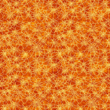 Load image into Gallery viewer, Witchypoo Spiderwebs 31941-O