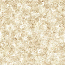 Load image into Gallery viewer, Skyward Eagle Tonal 32007-E