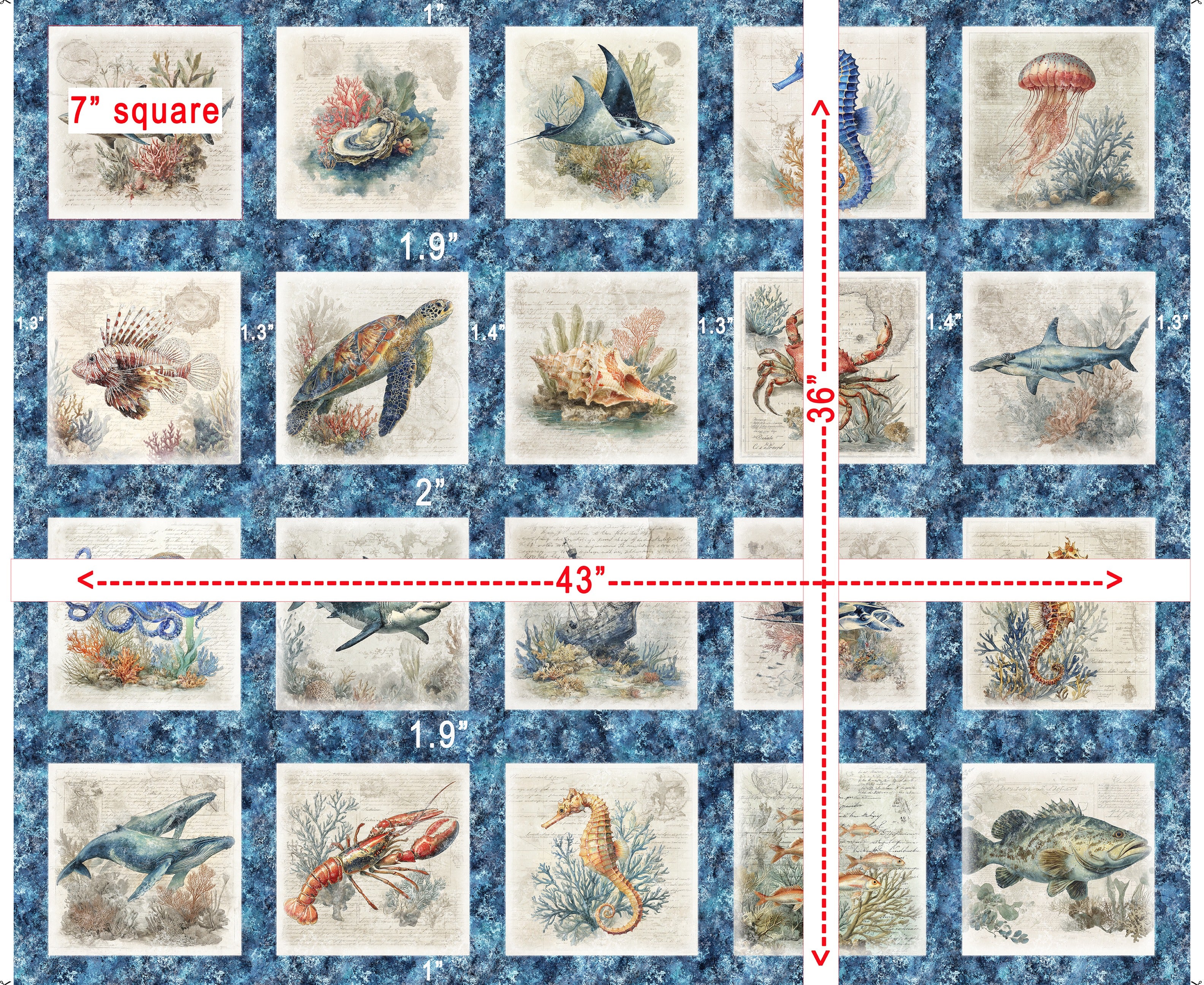 Nauticus Sea Creatures Picture Patches 32050-B measurements