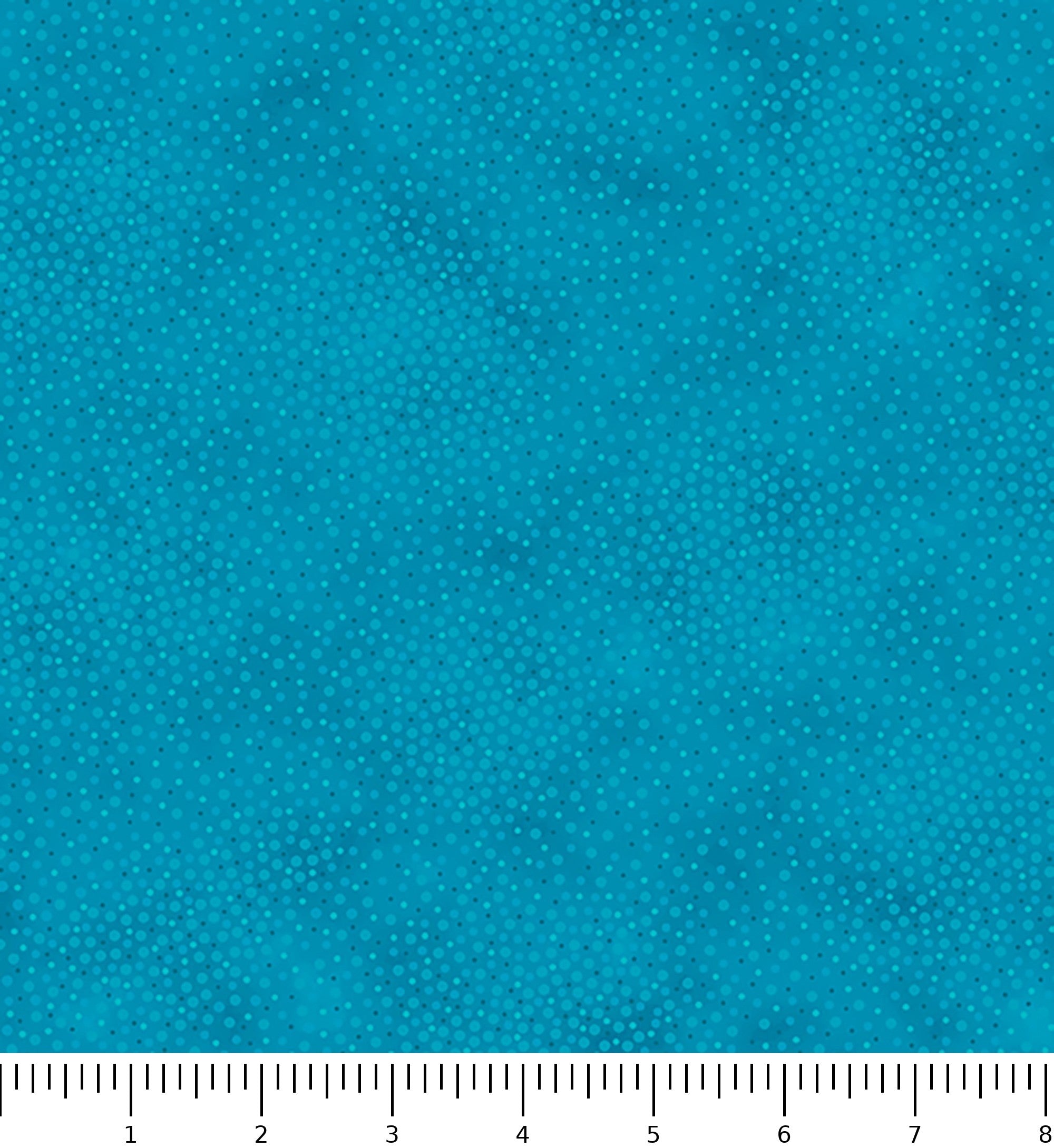 Spotsy 29912-QW with inch ruler for scale