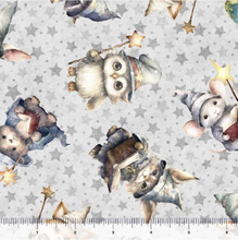 Load image into Gallery viewer, Lil' Wizards Wizard Toss 30551-K