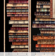 Load image into Gallery viewer, Bookworm Book Shelves Stripe 30446-J