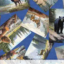 Load image into Gallery viewer, On the Road Again Animal Postcards 30739-B