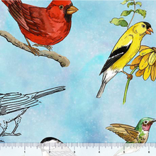 Load image into Gallery viewer, Drawn to Birds Tossed Birds 31135-B