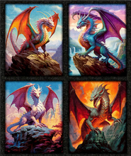 Load image into Gallery viewer, Dragon's Song Patch Panel 31149-X