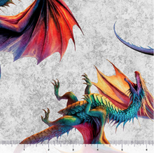 Load image into Gallery viewer, Dragon's Song Tossed Dragons 31151-K