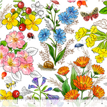 Load image into Gallery viewer, Healing Garden Botanical Floral 31354-Z