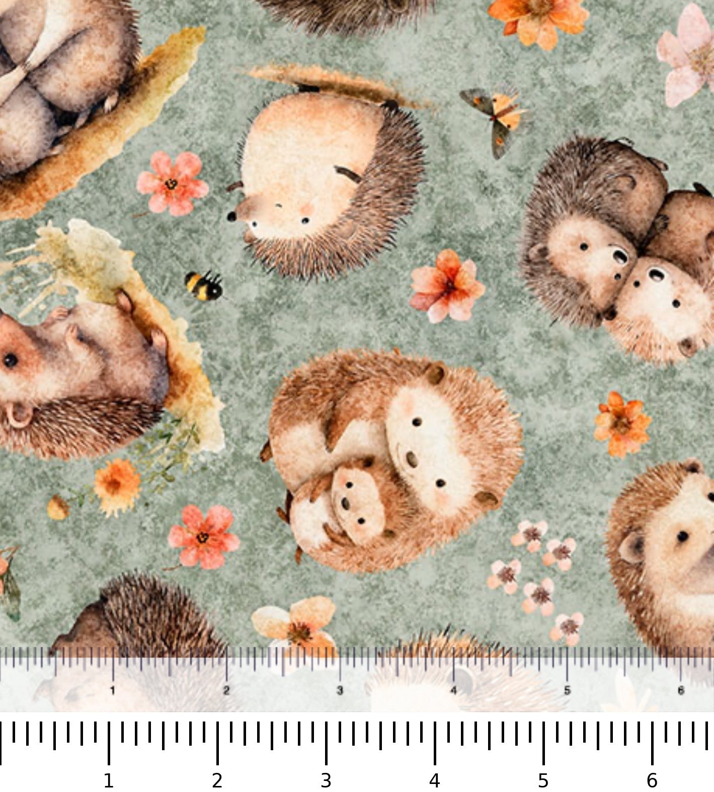Hedgehugs Hedgehog Toss 31413 - H with inch ruler for scale