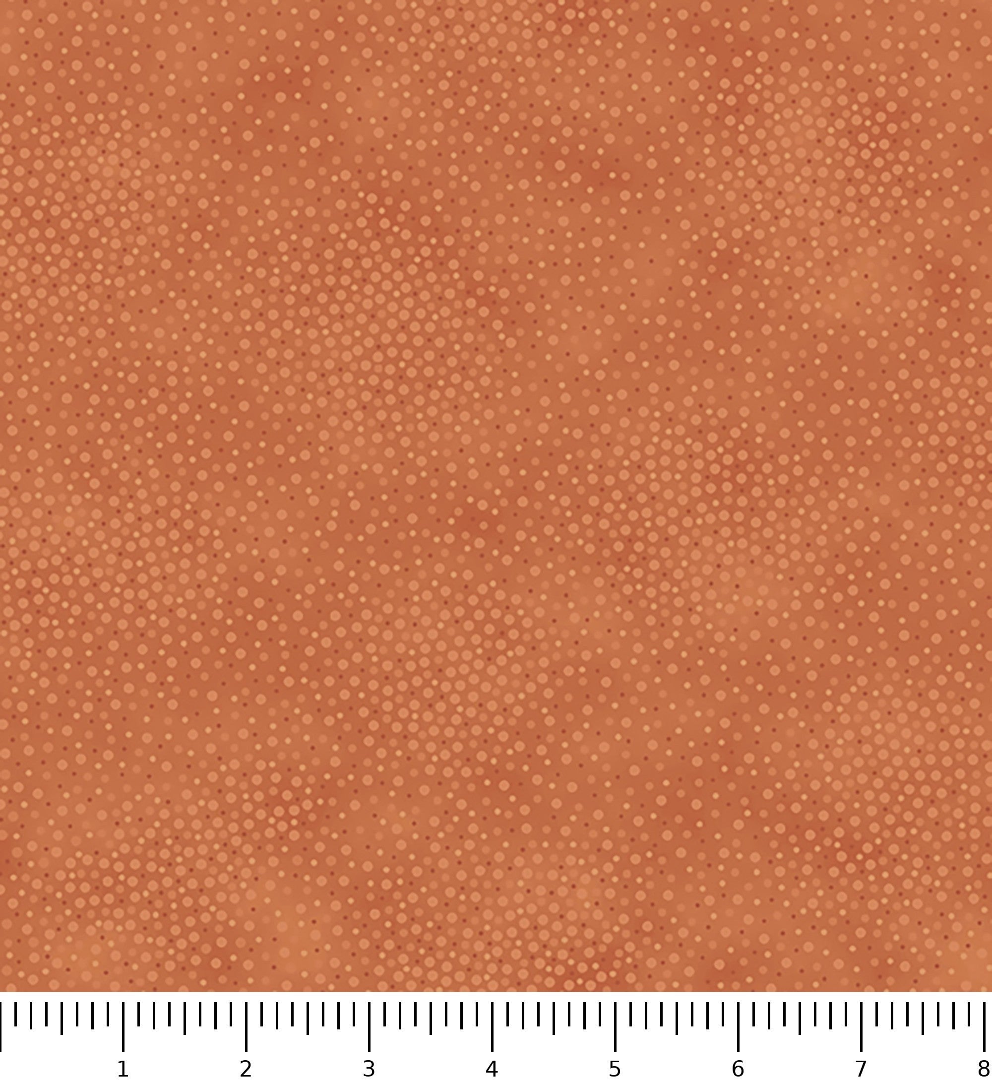 Spotsy 29912-TC with inch ruler for scale
