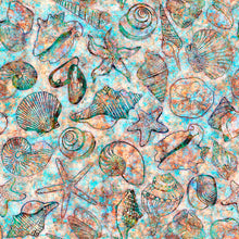 Load image into Gallery viewer, Oceana Seashells 27088-X
