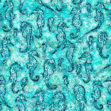 Load image into Gallery viewer, Oceana Seahorse 27090-Q
