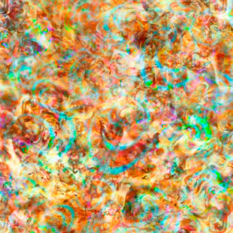 Oceana Prism 27106-X