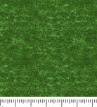Matilija Poppy Dotted Blender 28704-F with ruler for scale