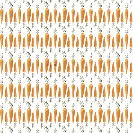 Hippity Hop Carrot Stripe - 29218-Z