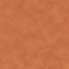Spotsy 29912-TC
