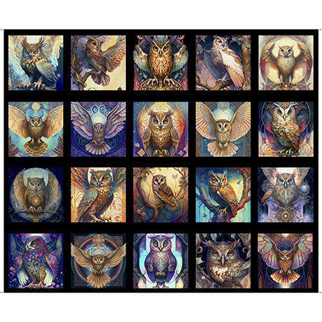 Mystic Owls Owl Picture Patches 30034-J