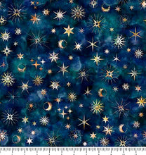 Load image into Gallery viewer, Wild Wood Night Sky 30901-N
