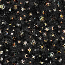 Load image into Gallery viewer, Wild Wood Night Sky 30901-J
