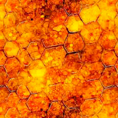 All The Buzz Honeycomb 30955-O