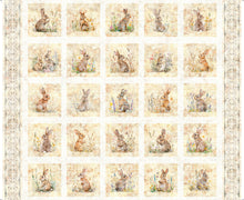 Load image into Gallery viewer, Hunny Bunny Picture Patches 30975-E
