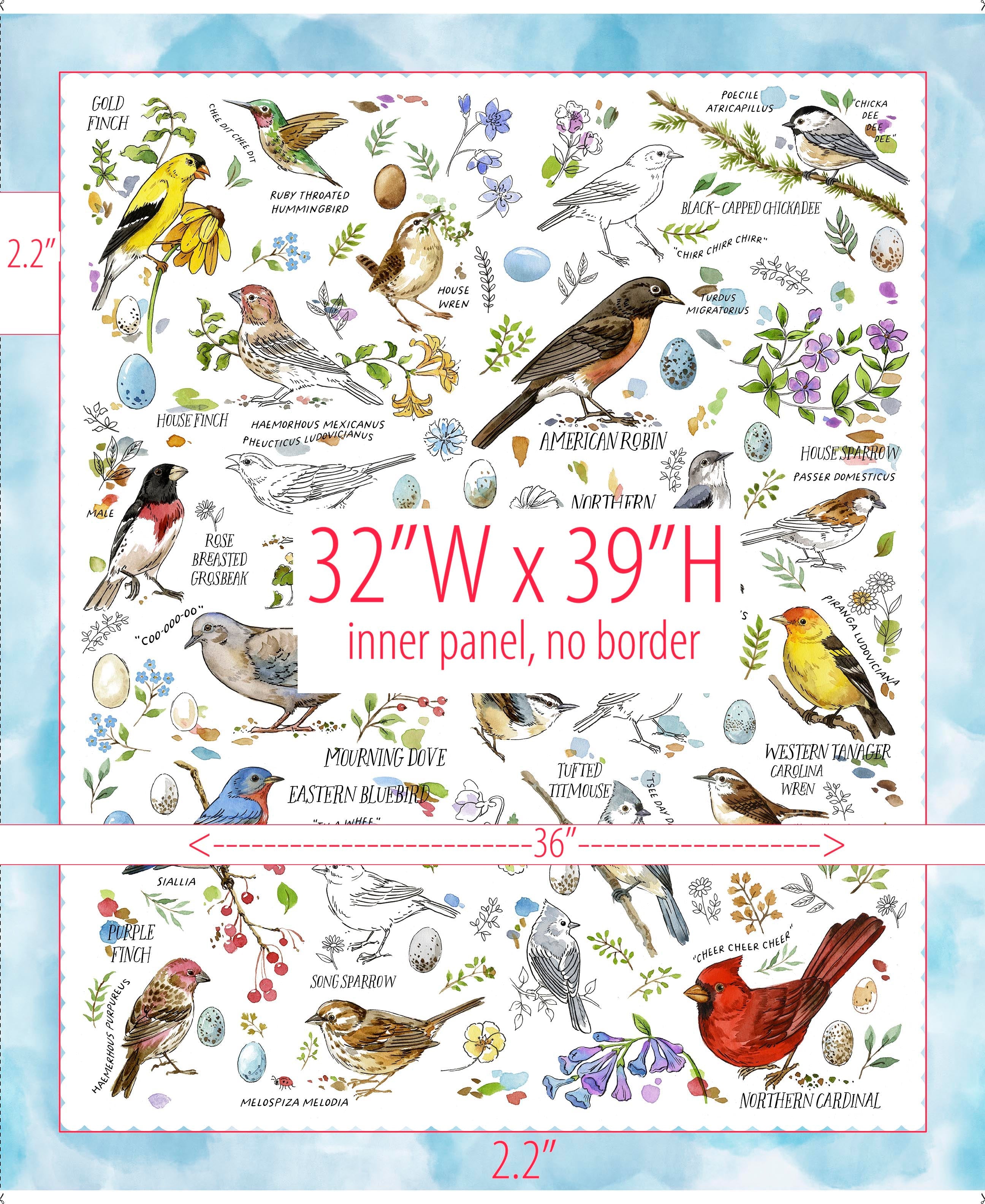 Drawn to Birds Bird Panel 31133-B