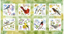 Load image into Gallery viewer, Drawn to Birds Bird Picture Patches 31134-H Show
