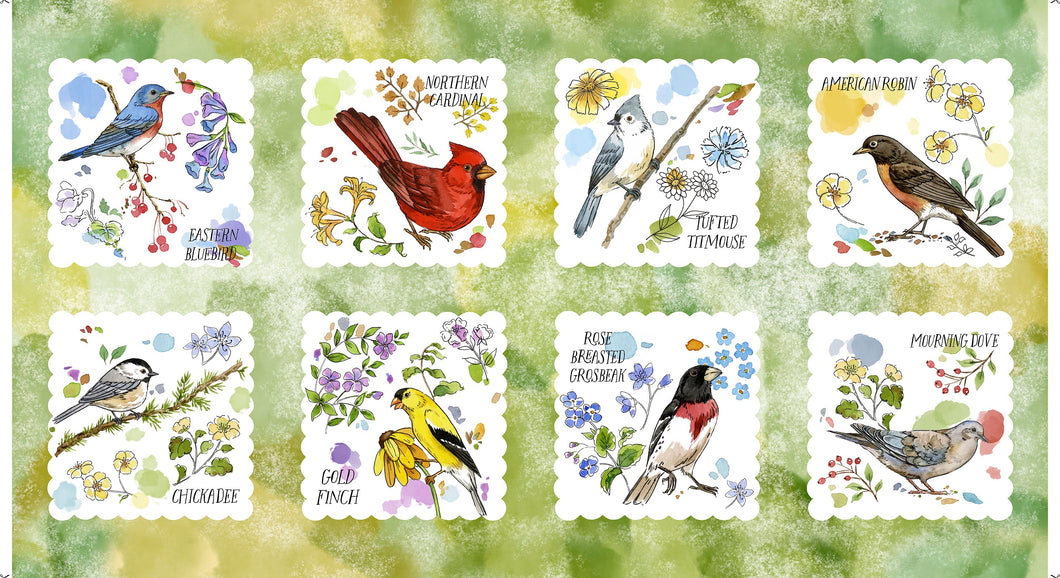 Drawn to Birds Bird Picture Patches 31134-H Show