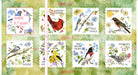 Drawn to Birds Bird Picture Patches 31134-H