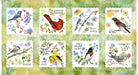 Drawn to Birds Bird Picture Patches 31134-H