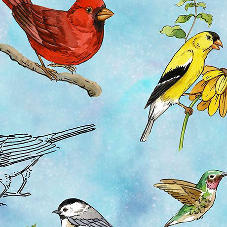 Drawn to Birds Tossed Birds 31135-B