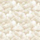 Bearsville 31264-E