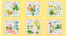 Load image into Gallery viewer, Healing Garden Picture Patches Panel 31353-S
