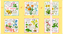 Load image into Gallery viewer, Healing Garden Picture Patches Panel 31353-S
