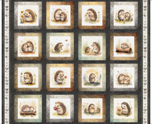 Load image into Gallery viewer, Hedgehugs Hedgehog Picture Patches 31412-J
