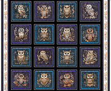Load image into Gallery viewer, Night Owls Picture Patches 31565-J
