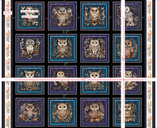 Load image into Gallery viewer, Night Owls Picture Patches 31565-J
