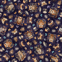 Load image into Gallery viewer, Night Owls - Owls 31566-V
