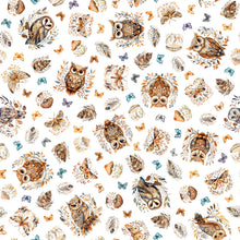 Load image into Gallery viewer, Night Owls - Owls 31566-Z

