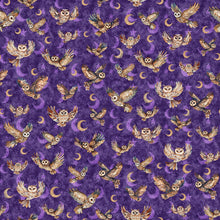 Load image into Gallery viewer, Night Owls Flying Owls 31567-V
