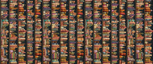 Load image into Gallery viewer, Witchypoo Bookshelf Stripe 31937-X
