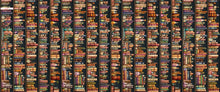 Load image into Gallery viewer, Witchypoo Bookshelf Stripe 31937-X measurements
