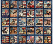 Load image into Gallery viewer, American Country Picture Patch Panel 31991-N

