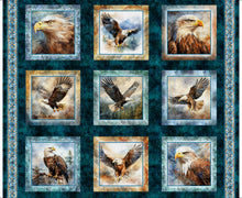Load image into Gallery viewer, Skyward Eagle Picture Patches 32005-W
