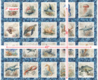 Nauticus Sea Creatures Picture Patches 32050-B measurements