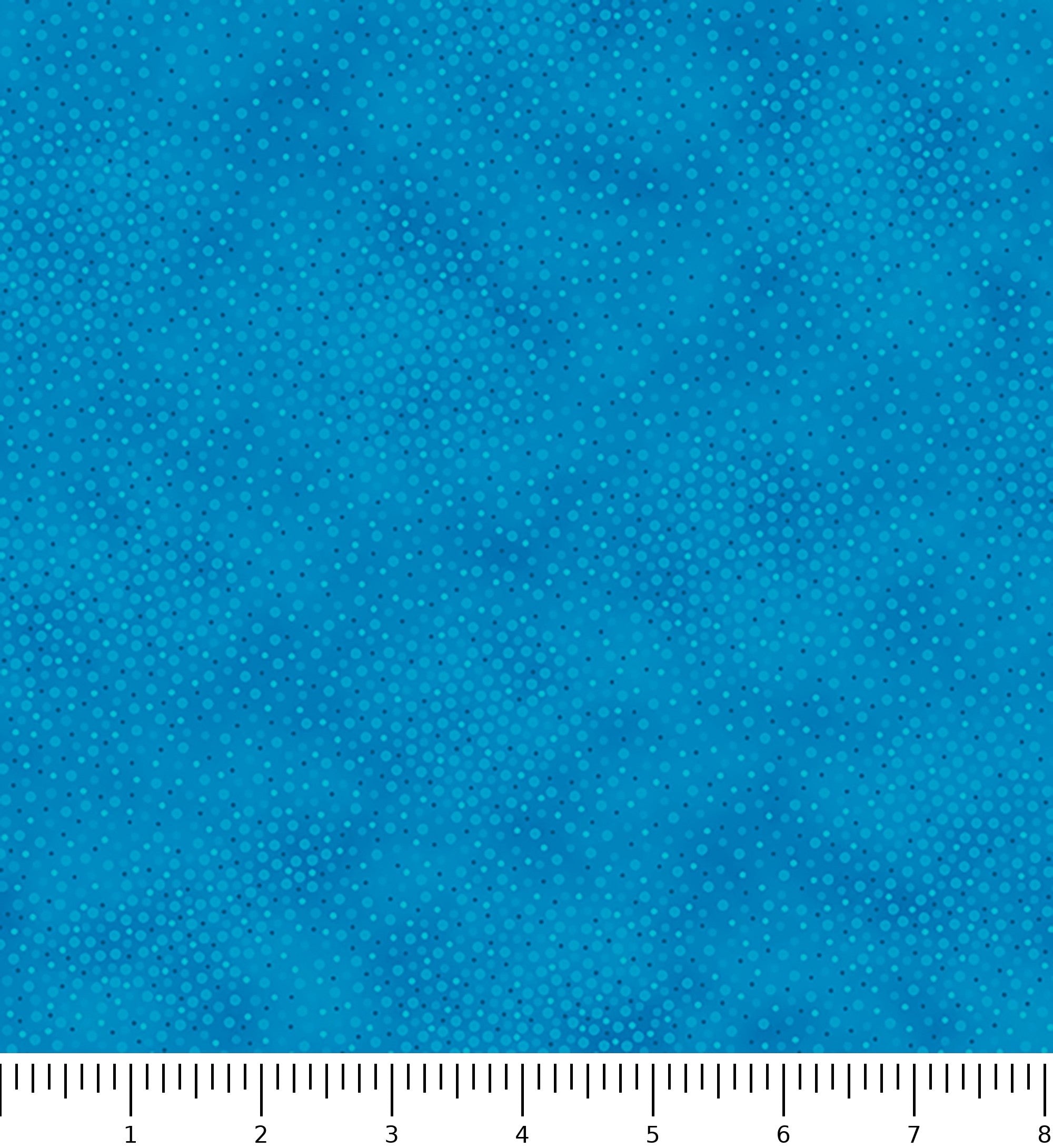 Spotsy 29912-QN with inch ruler for scale
